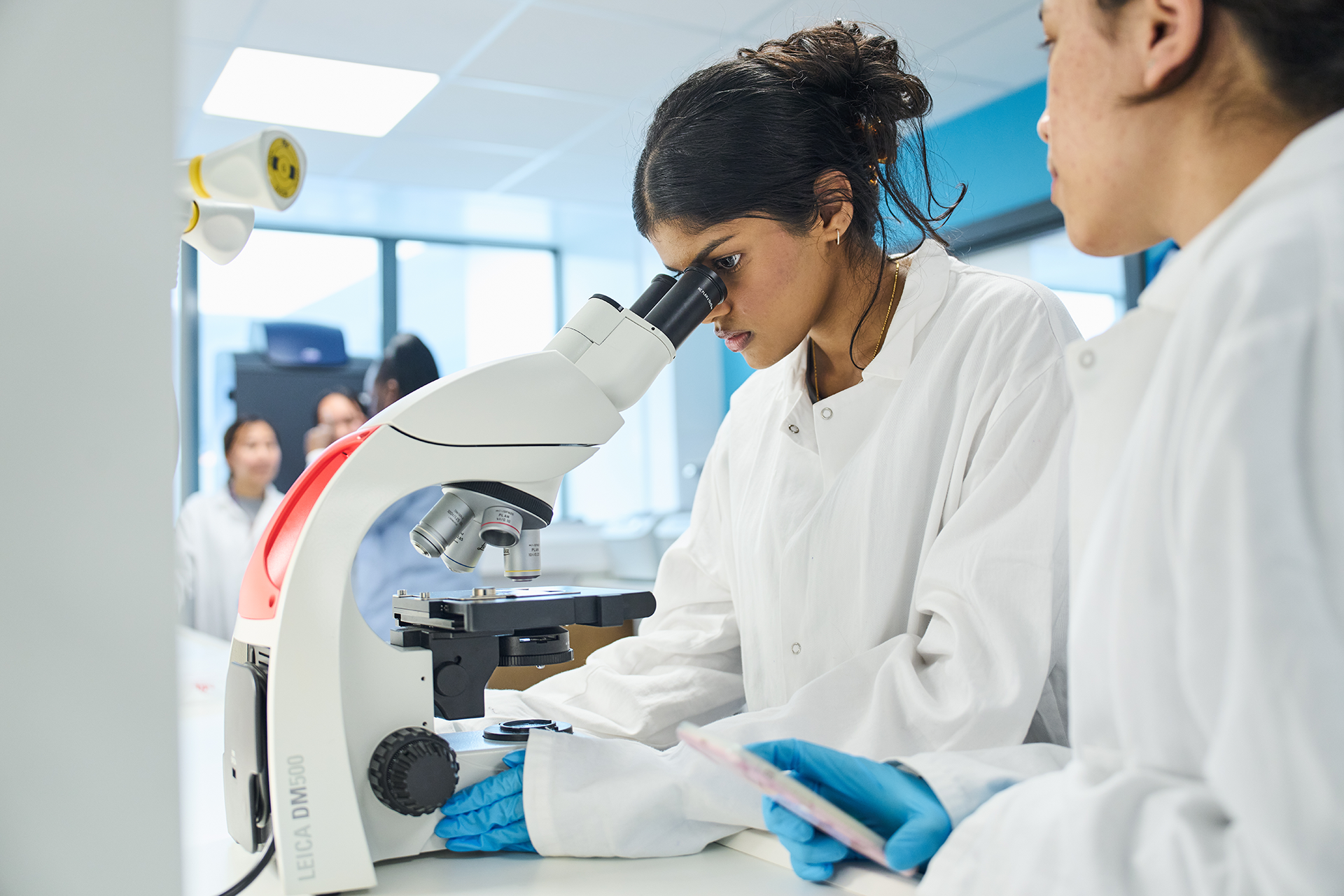 Students from University of West London in a teaching lab using a microscope