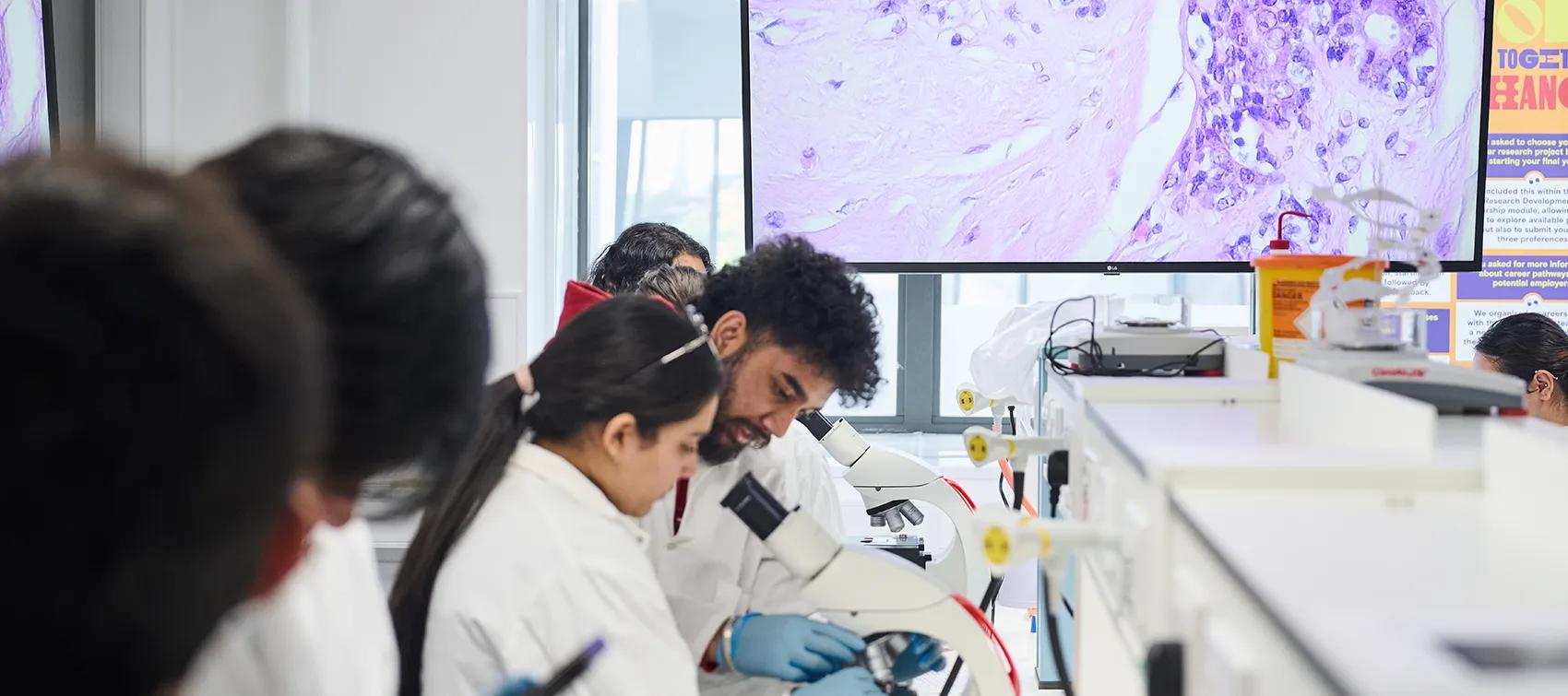 Students from University of West London in a teaching lab